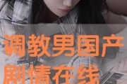 国产调教网站,探索国内虚拟互动新领域